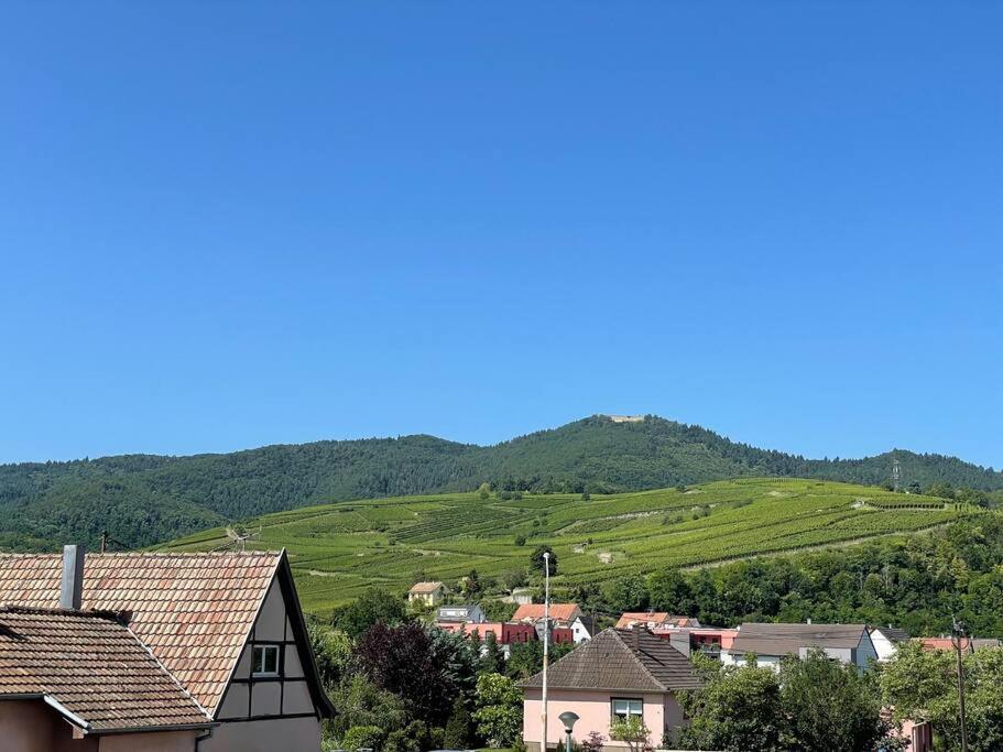 A2 Pas De Colmar Terrasse,Parking Appartement Wintzenheim Buitenkant foto