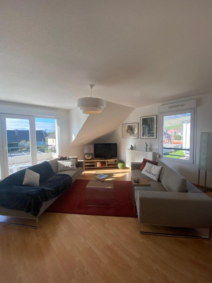 A2 Pas De Colmar Terrasse,Parking Appartement Wintzenheim Buitenkant foto