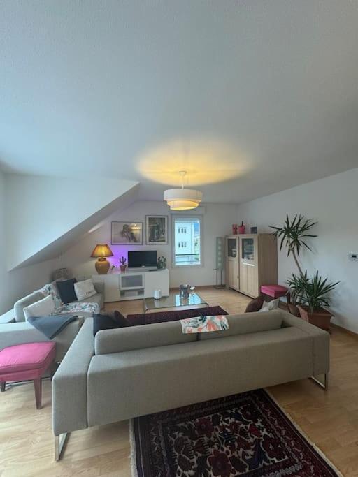 A2 Pas De Colmar Terrasse,Parking Appartement Wintzenheim Buitenkant foto