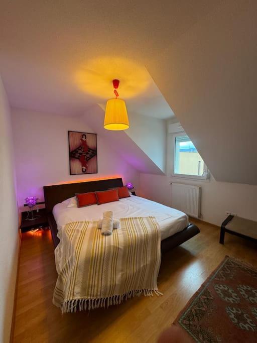 A2 Pas De Colmar Terrasse,Parking Appartement Wintzenheim Buitenkant foto