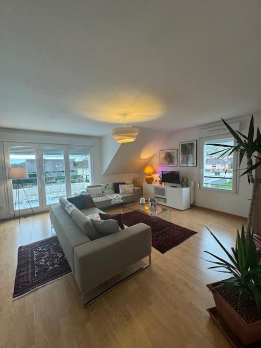 A2 Pas De Colmar Terrasse,Parking Appartement Wintzenheim Buitenkant foto