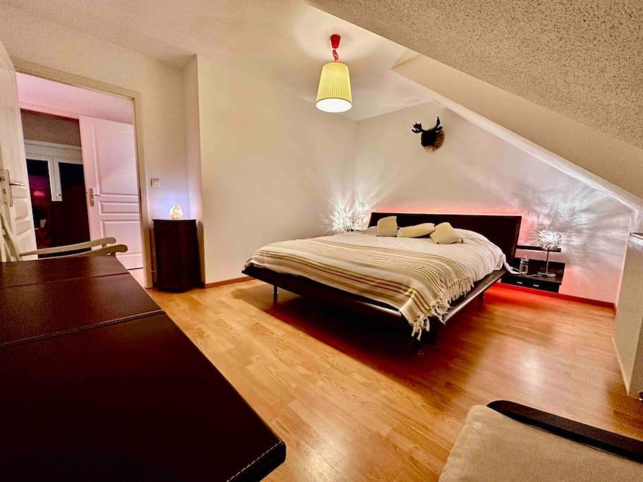 A2 Pas De Colmar Terrasse,Parking Appartement Wintzenheim Buitenkant foto